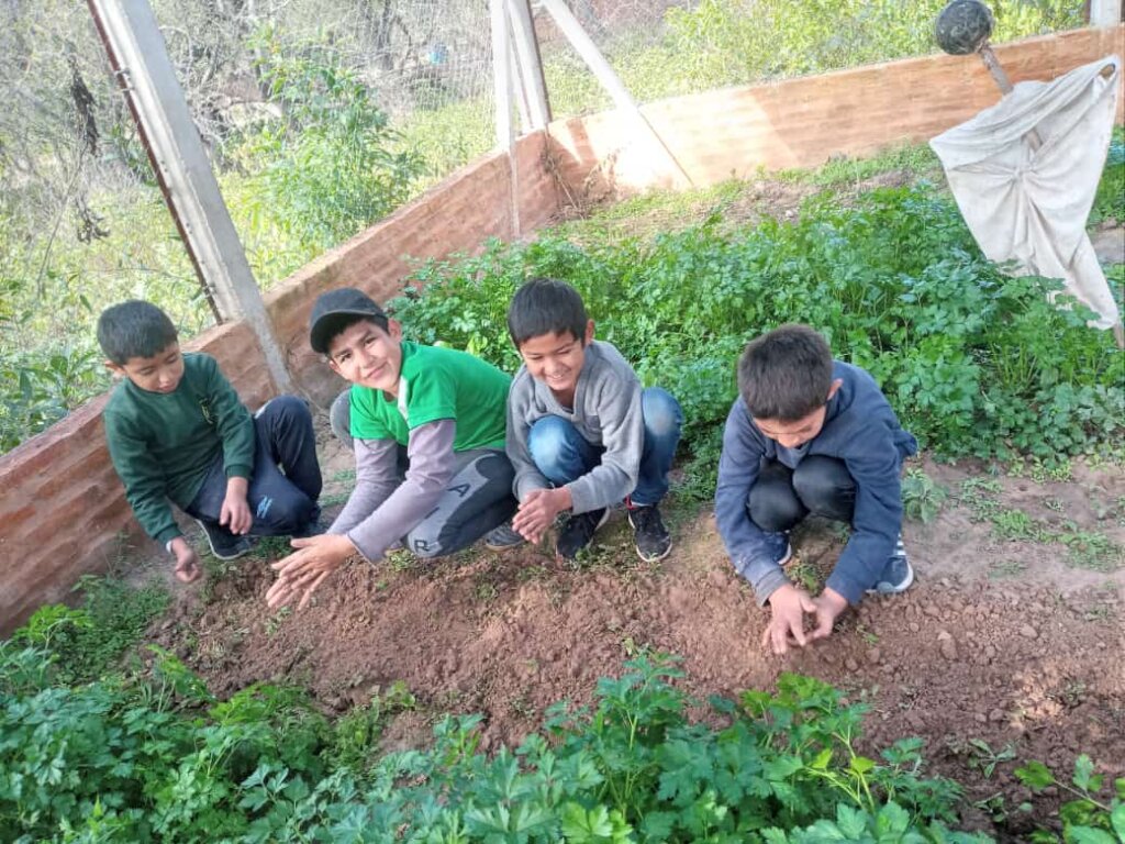 Agroecological Gardens in Schools in Argentina