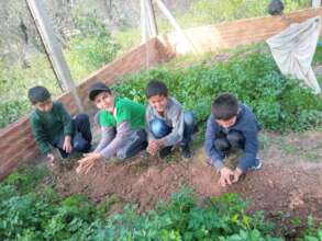 Agroecological Gardens in Schools in Argentina