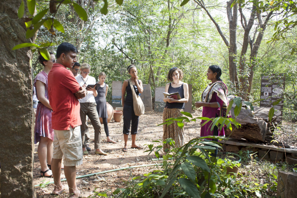 Auroville - create impact for regenerative work