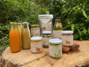 Abundance - Food processing international flavours