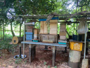 Bees are an essential element of the farm