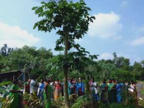 Organic farming - learning together