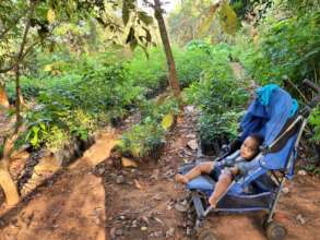 Tree nursery for Tropical Dry Evergreen Forest