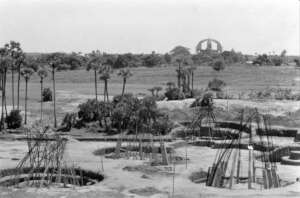 50 years ago - afforestation started