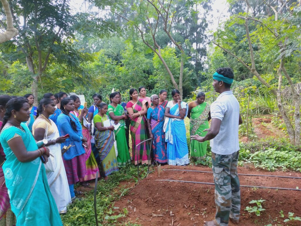 Training in organic farming - AuroOrchard Farm