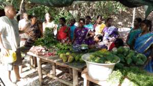 Harvest in Solitude Farm with Krishna McKenzie