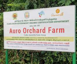 Certified Organic farms - Auroville