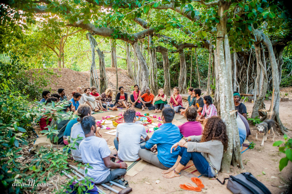 Training in regenerative forestry - international