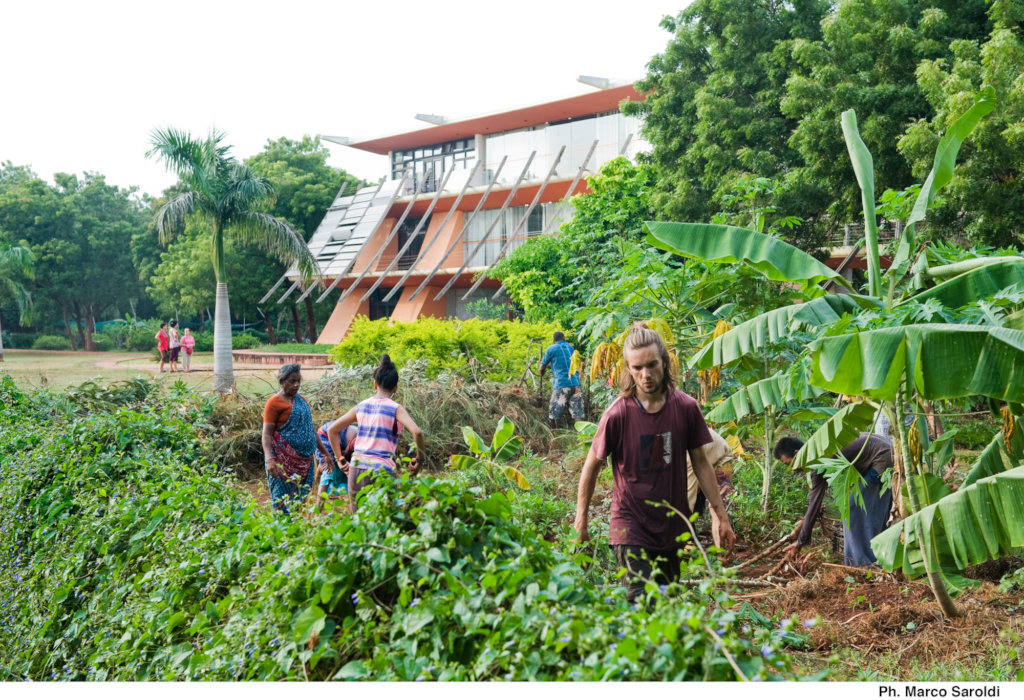 Permaculture Garden at Townhall City center