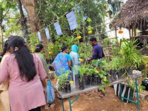 Its time to plant your garden today!