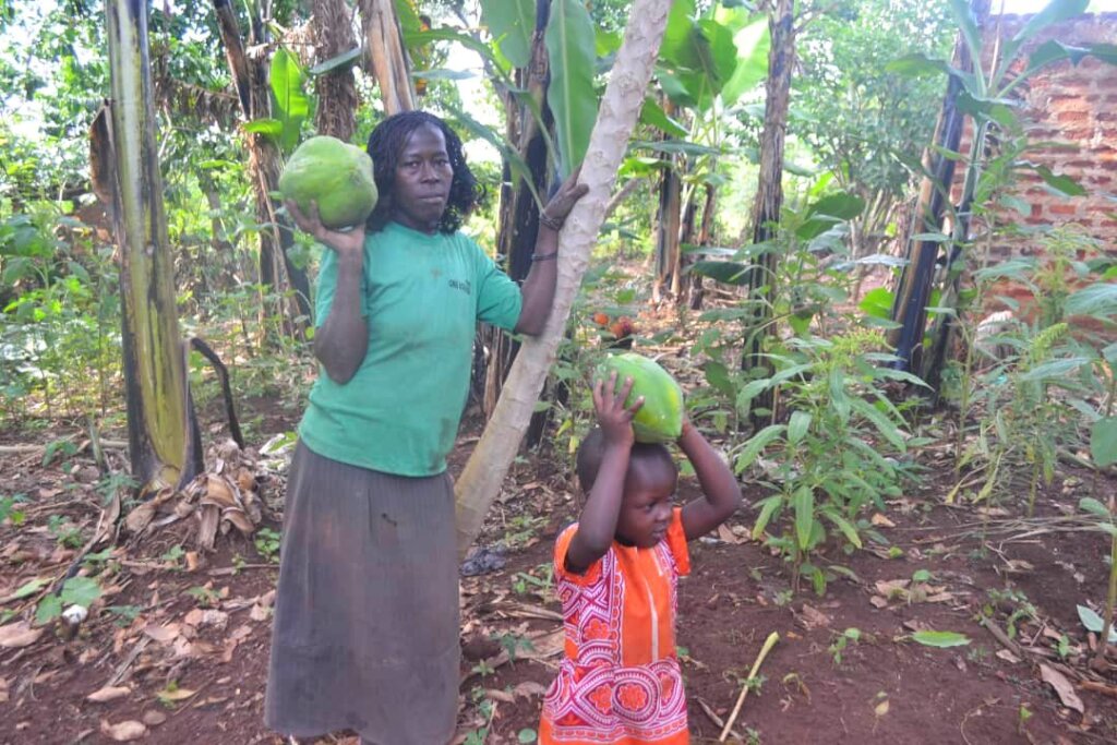 Restore livelihoods in 11 Ugandan villages