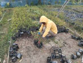 Community based integrated nurseries