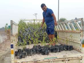 Adding economical value for the community