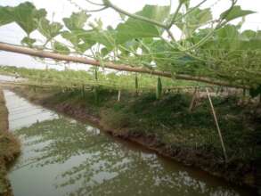 Integrated farming by Banojibi