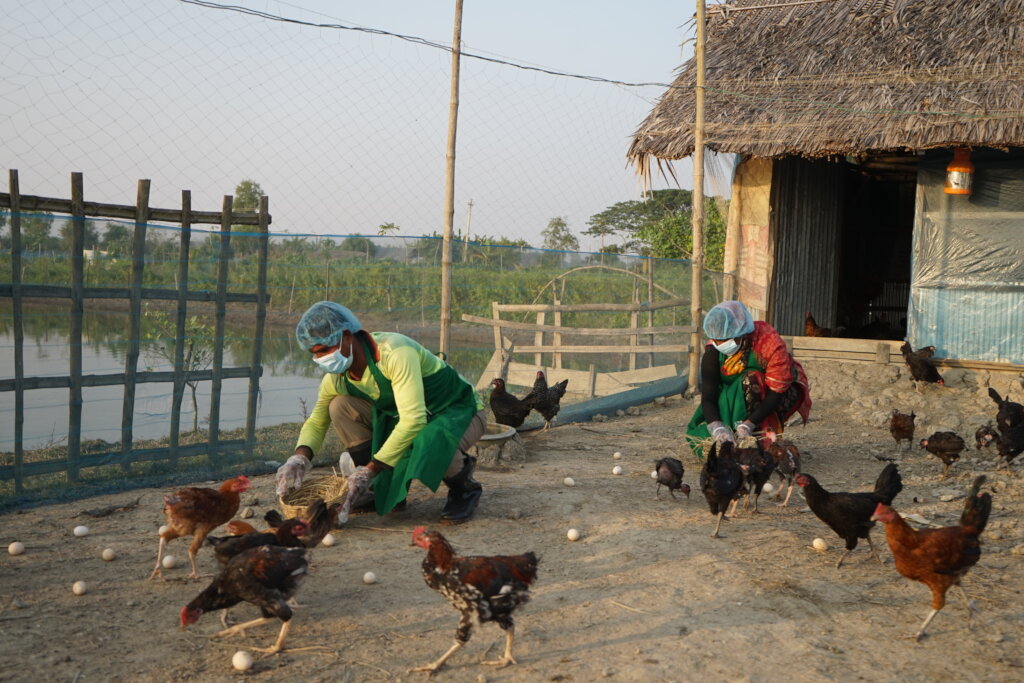 Sundarbans Ecovillage for People-Nature-Climate
