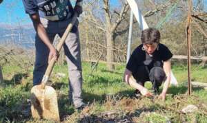 Preparing the garden for a new season