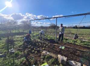 Garden Day at Habibi.Works