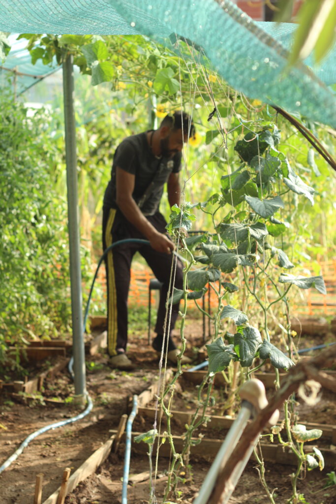 Community Garden