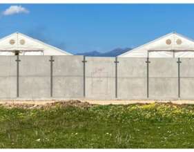 Creating Dignified Lives for 1.000+ Asylum Seekers