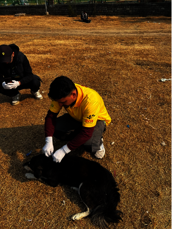 Help homeless animals access life-saving treatment