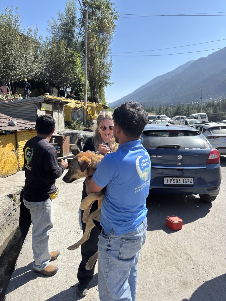 Help homeless animals access life-saving treatment