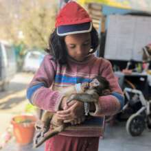 visiting school children always love the animals