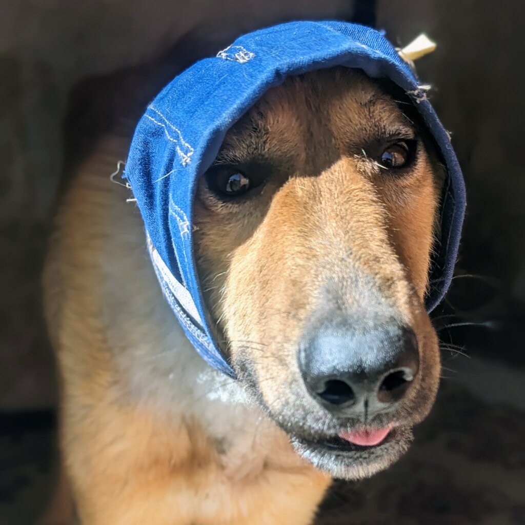 Bhuvan sporting his No Flap Ear Wrap