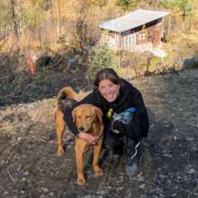 Manali Strays co-founder with a community dog