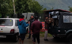 Transporting the rescued dogs to Manali Strays