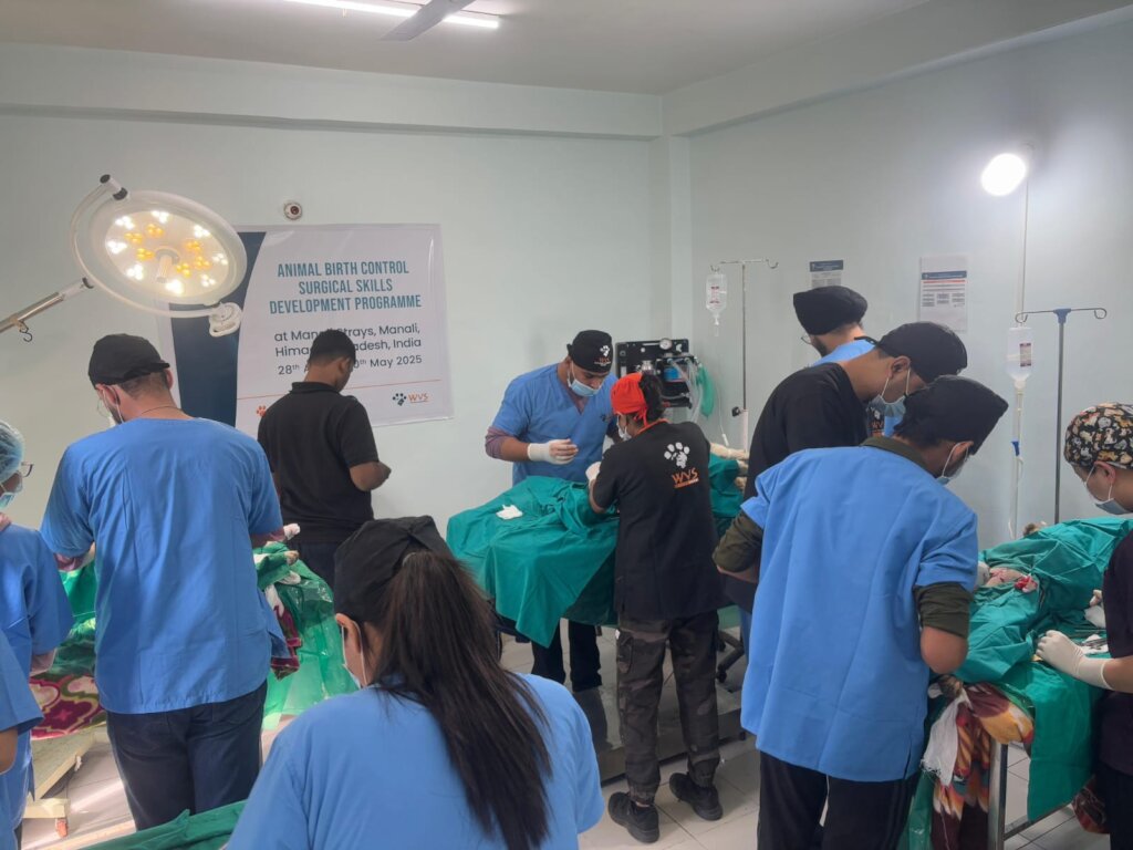 WVS training participants learning key skills