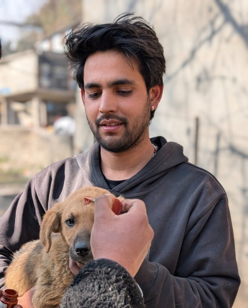 Rabies vaccination camp in Kullu