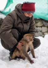 Co-Founder Kamlesh with Koko in the snow