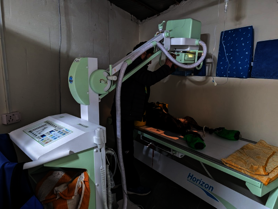 The newly installed x-ray machine at Manali Strays