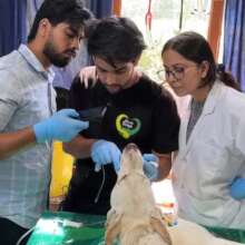 One of our paravets demonstrating intubation