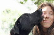 Help homeless animals access life-saving treatment