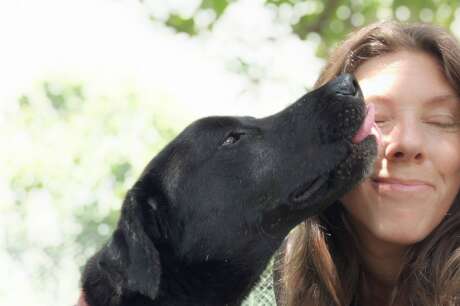 Help homeless animals access life-saving treatment
