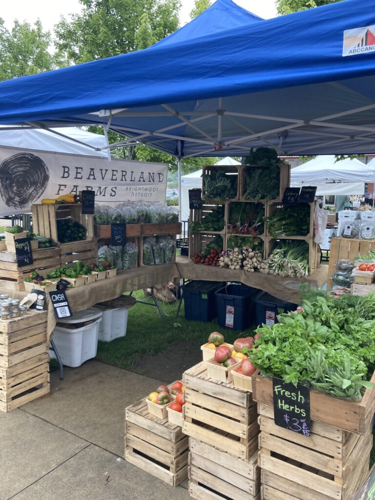 Build a US Water House at Beaverland Farms!