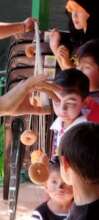 doughnuts