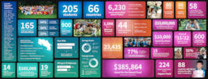 Impact Report Summary
