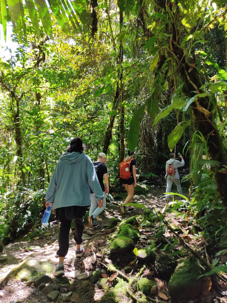 Nature-based education