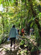 Nature-based education