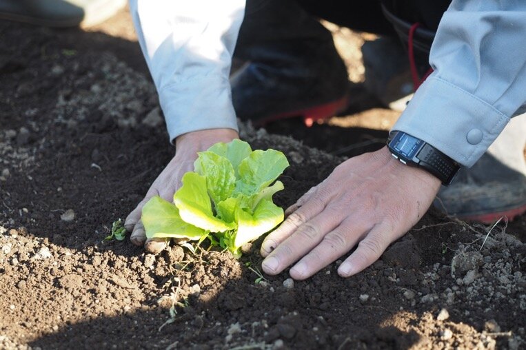 Cultivating Rural Resilience: AFARI Fellows