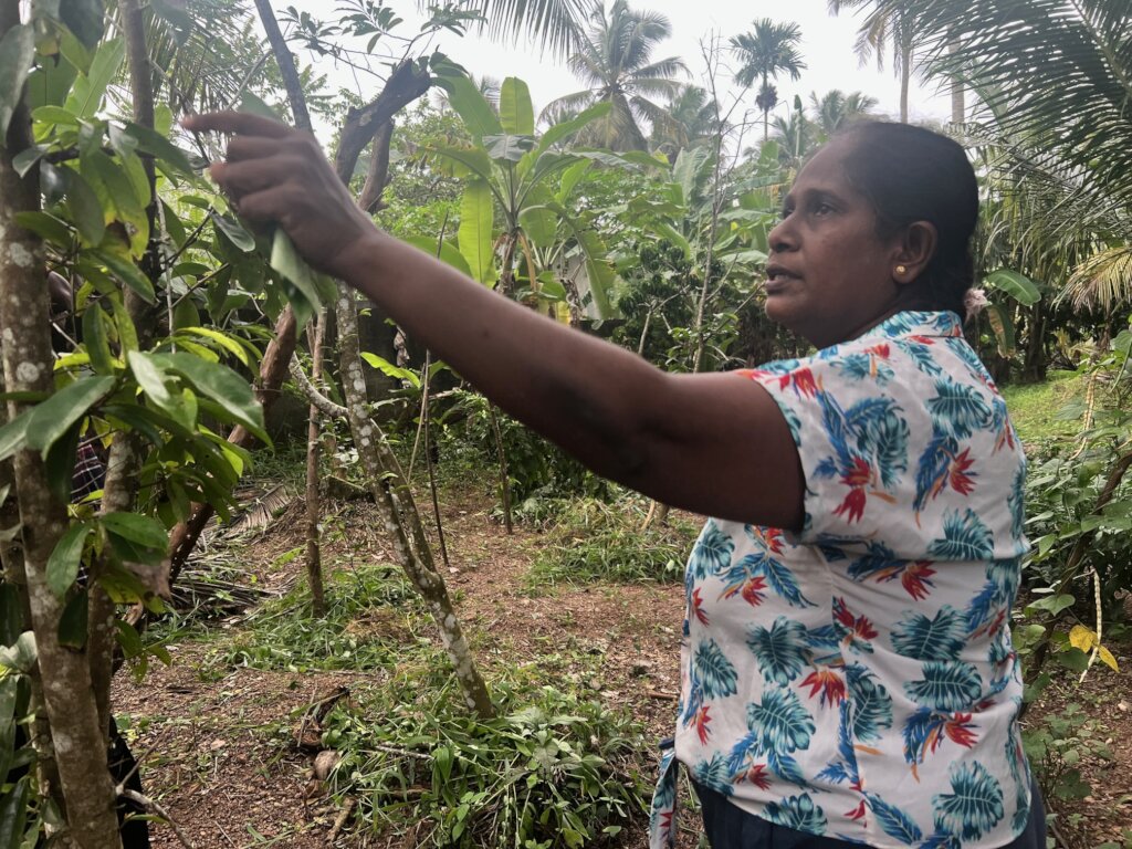 Cultivating Rural Resilience: AFARI Fellows