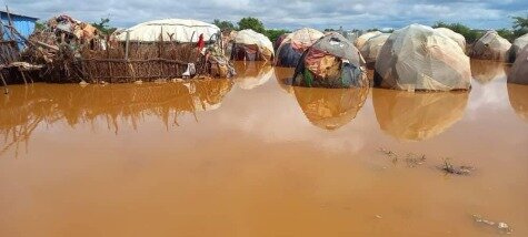 Drought Crisis in the Horn of Africa