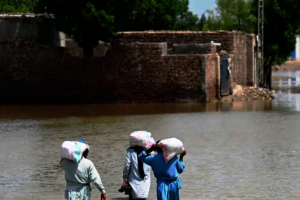 Food bags distributed at Tehsil Rojhan, Pakistan