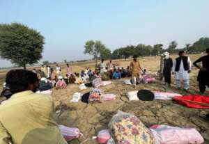 Distribution of food Items