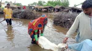 Flood Affectees in Sindh-2022