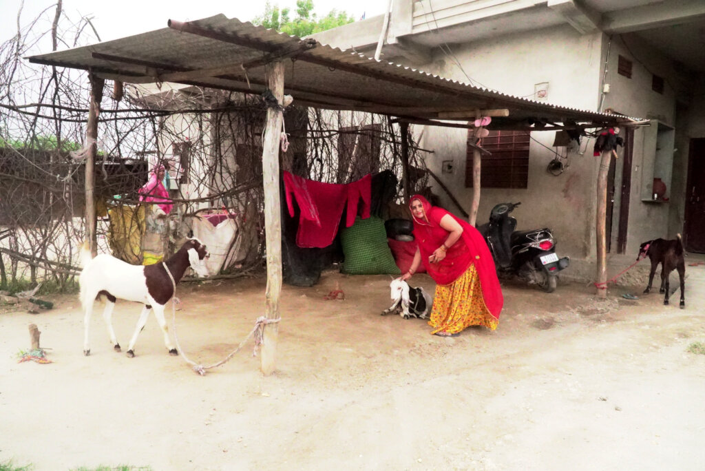 Upliftment from poverty to prevent sex trafficking