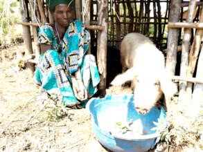 One of the women whose hog evaded the swine flu
