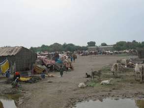 No Shelter available IDPs living in poor